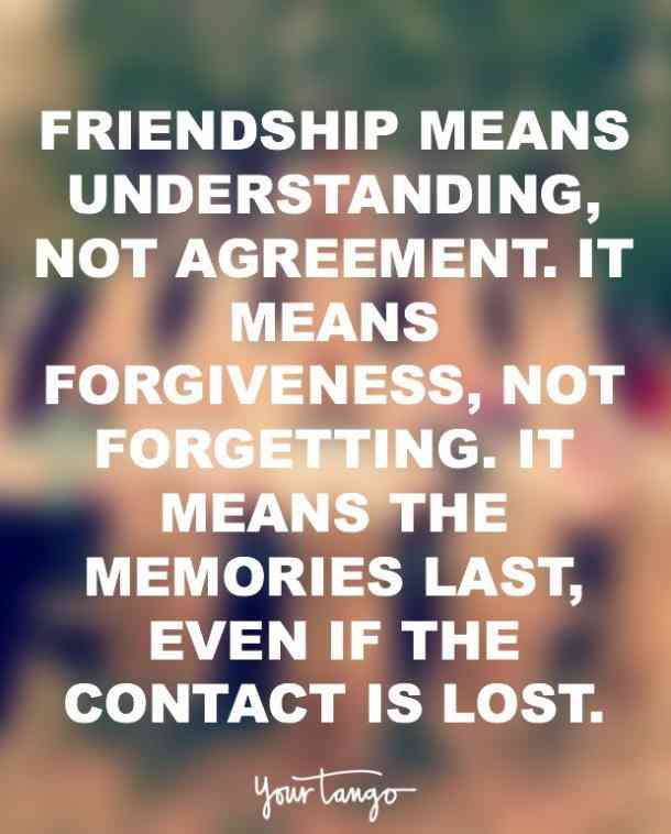 Friendship Means Understanding Not Friendship Quotes