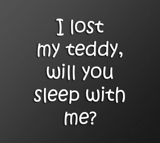 I Lost My Teddy Funny Quotes