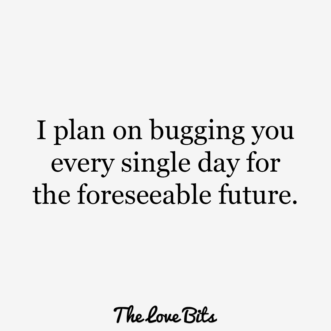 I Plan On Bugging Cute Quotes I Plan On Bugging Cute Quotes