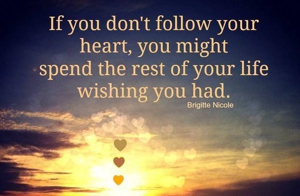 If You Dont Follow Cute Quotes If You Dont Follow Cute Quotes