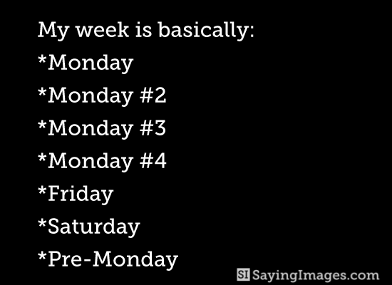 My Weak Is Basically Funny Quotes My Weak Is Basically Funny Quotes