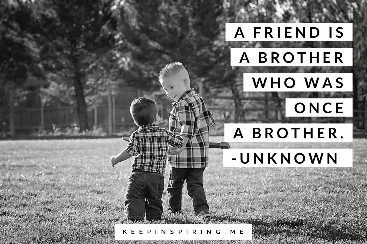 A Friend Is A Brother Quotes A Friend Is A Brother Quotes