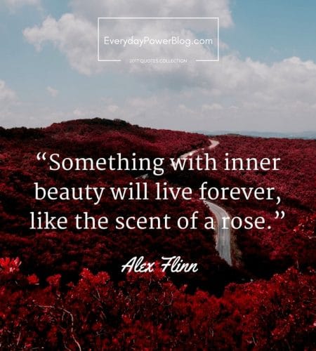 Something With Inner Beauty Beauty Quotes Something With Inner Beauty Beauty Quotes