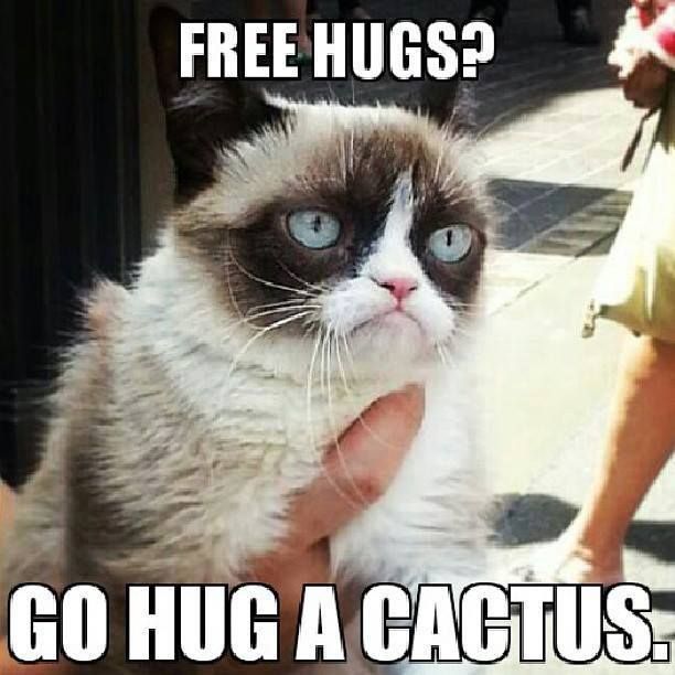 Free Hugs Go Hug A Cactus Grumpy Cat Meme
