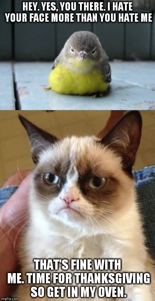 Hey Yes You There Grumpy Cat Meme