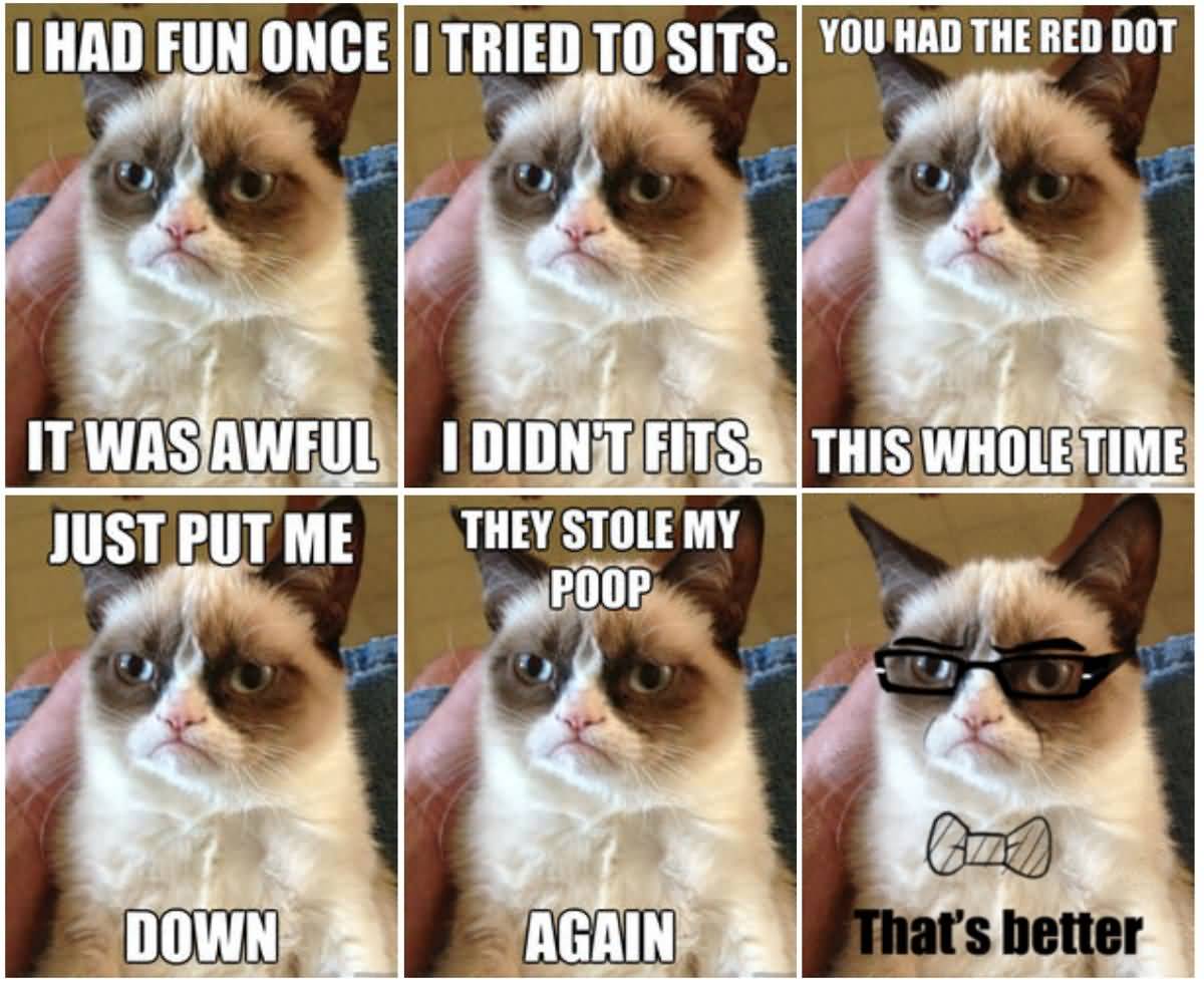 I Had Fun Once Grumpy Cat Meme