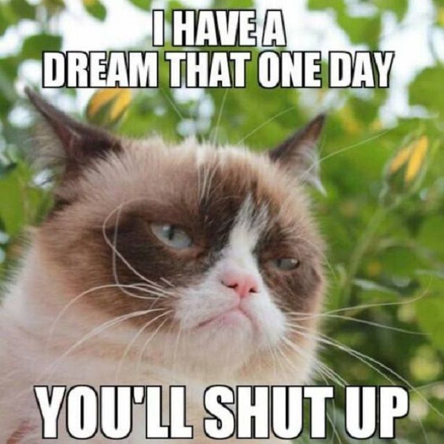 I Have A Dream That One Grumpy Cat Meme