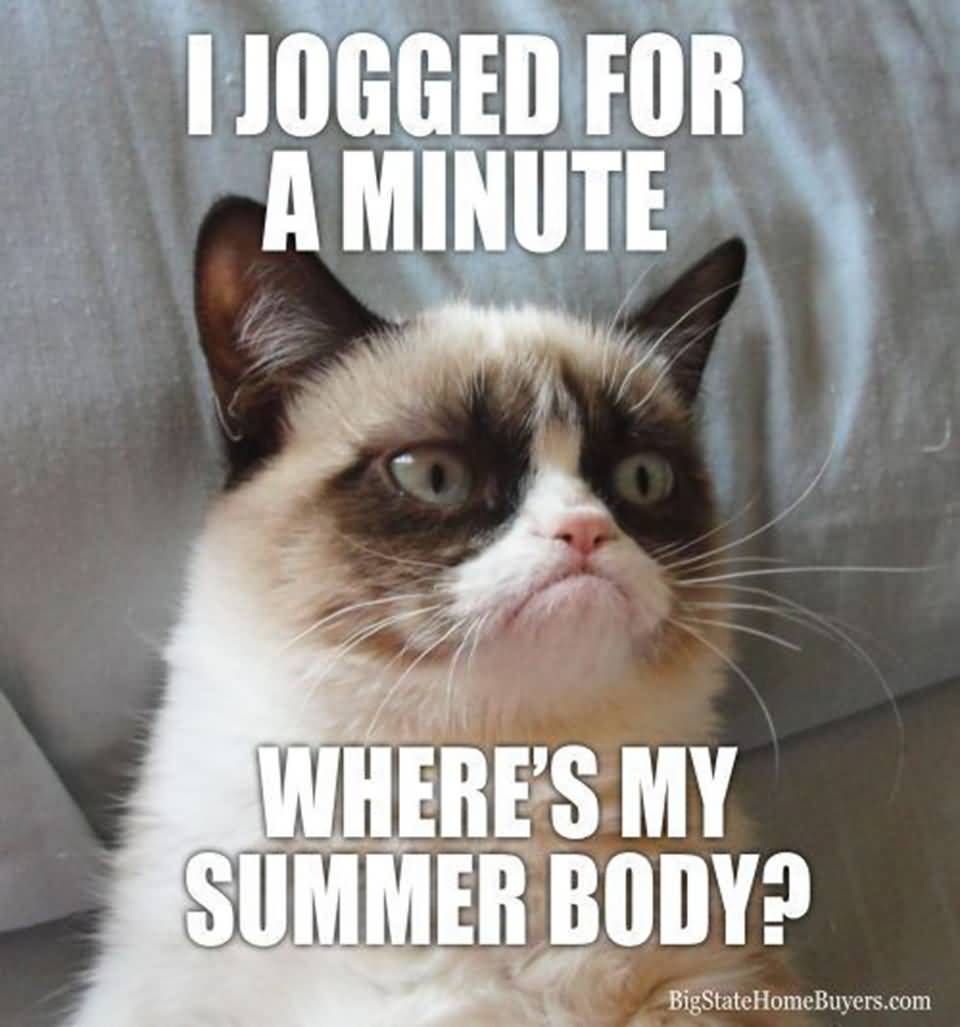 I Jogged For A Minute Grumpy Cat Meme