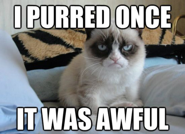 I Purred Once It Was Awful Grumpy Cat Meme