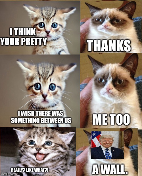 I Think Your Pretty Grumpy Cat Meme