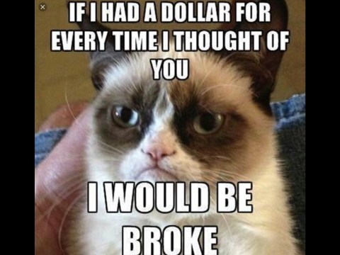 If I Had A Dollar Grumpy Cat Meme