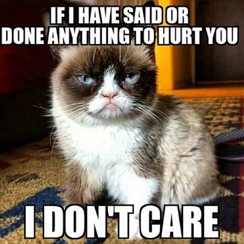 If I Have Said Or Done Grumpy Cat Meme
