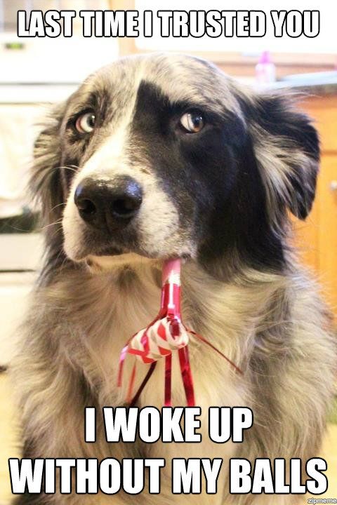Last Time I Trusted You Funny Dog Memes Last Time I Trusted You Funny Dog Memes