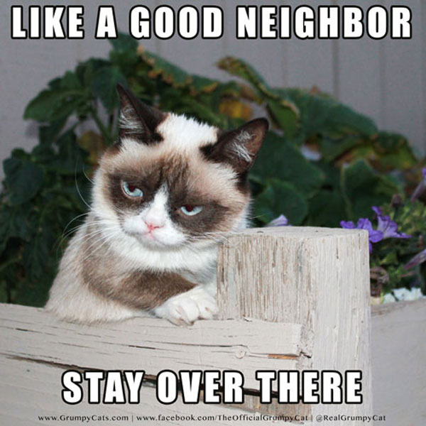 Like A Good Neighbor Stay Grumpy Cat Meme