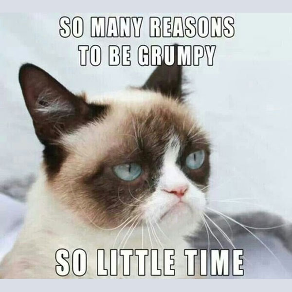 So Many Reasons To Be Grumpy So Grumpy Cat Meme