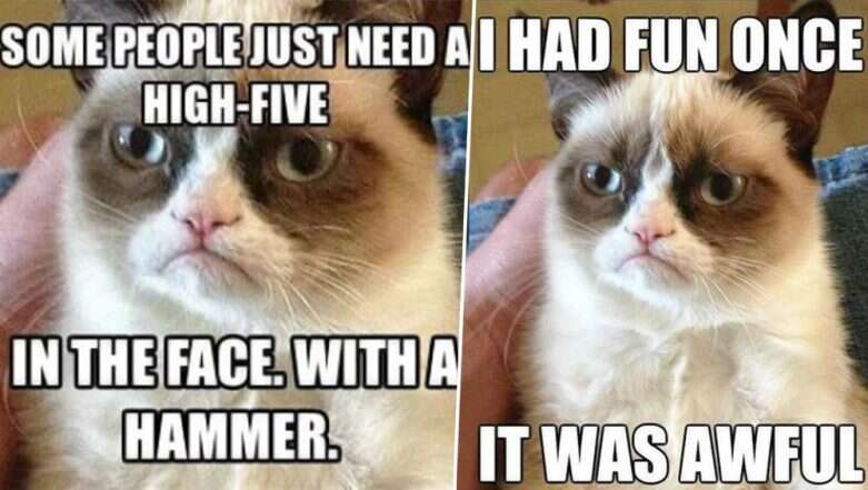 Some People Just Need Grumpy Cat Meme