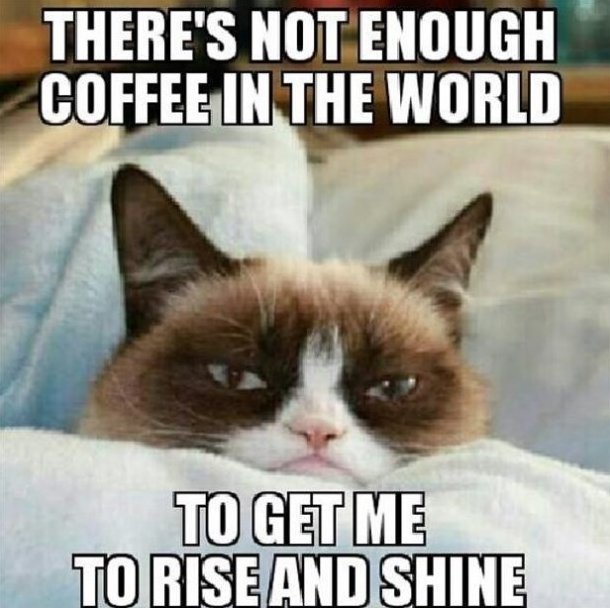 Theres Not Enough Coffee In Grumpy Cat Meme
