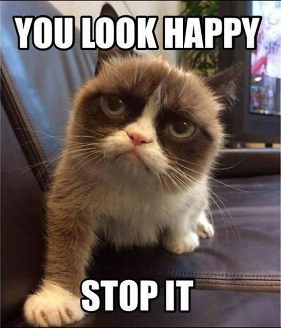 You Look Happy Stop Grumpy Cat Meme