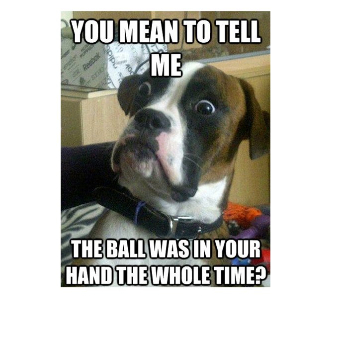 You Mean To Tell Me Funny Dog Memes