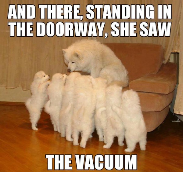 And There Standing In The Doorway Dog Memes
