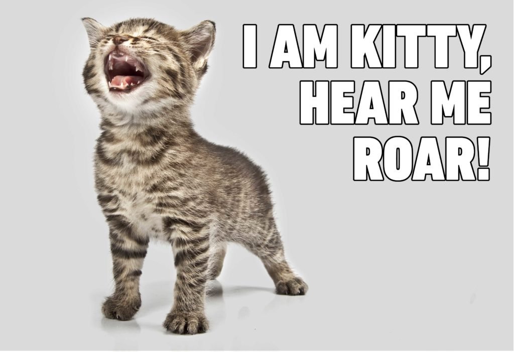 I Am KITTY HEAR ME Cat Memes