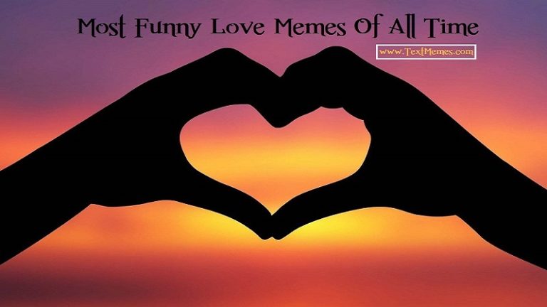 Most Funny I Love you Memes
