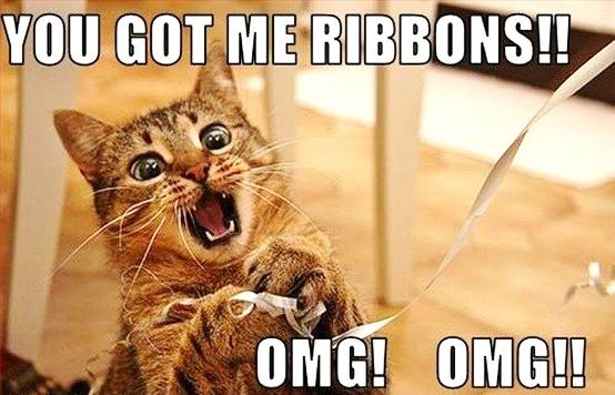 You Got Me Ribbons Cat Memes