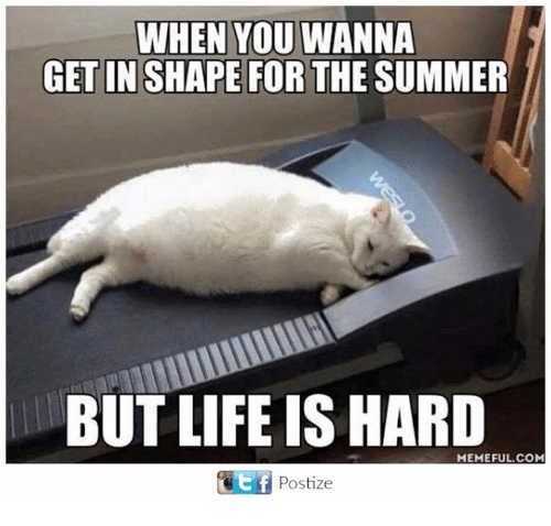 When You Wanna Get In Shape Life Meme