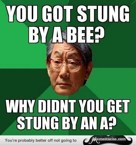 You Got Stung By Dad Dad Memes