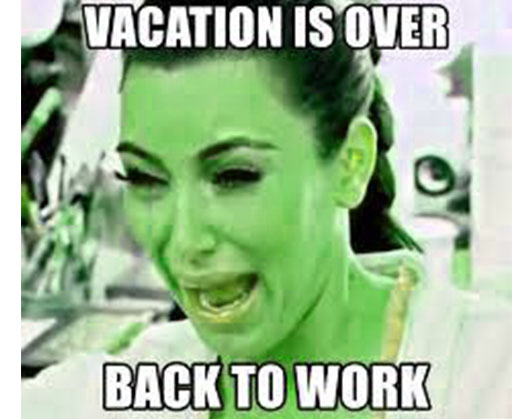 Back to Work after vacation meme