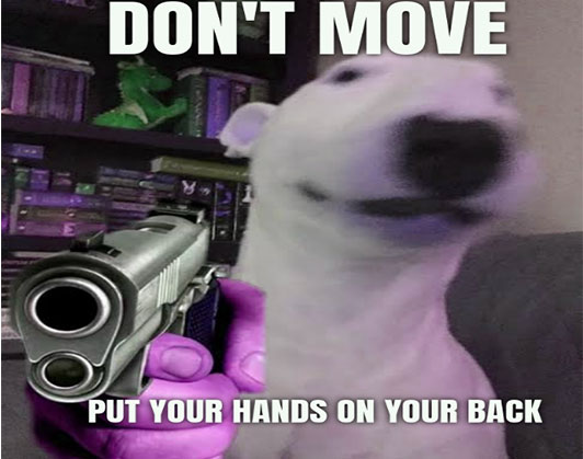 walter dog meme