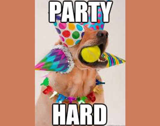 happy birthday dog memes