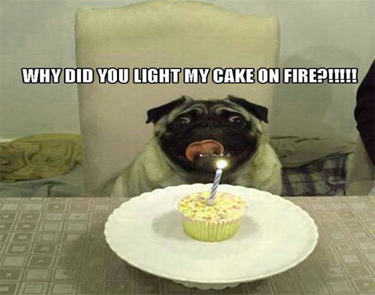 Happy birthday dog meme generator