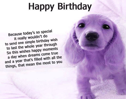 Happy birthday dog quotes