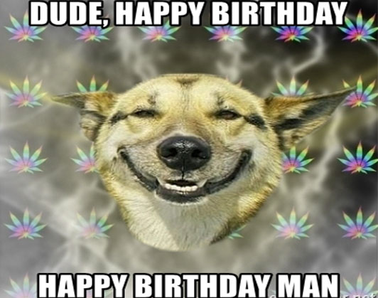 happy birthday dog memes