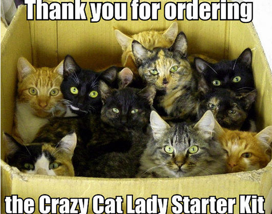 crazy cat lady meme