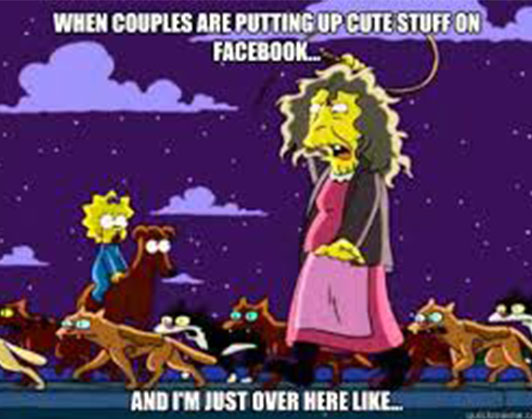 crazy cat lady meme