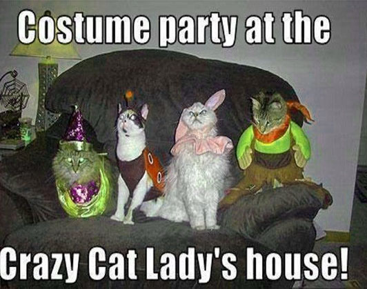 crazy cat lady meme