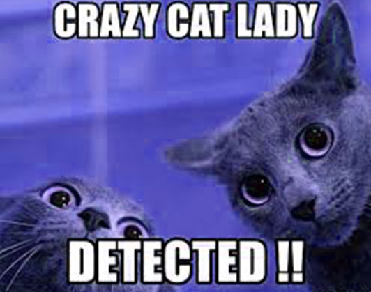 crazy cat lady meme