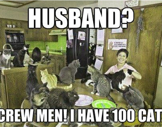 Crazy cat woman meme