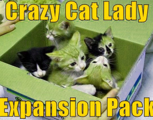 crazy cat lady meme