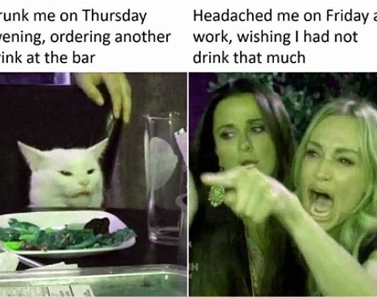 Woman yelling at cat meme