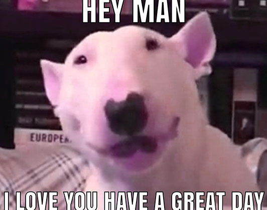 walter dog meme