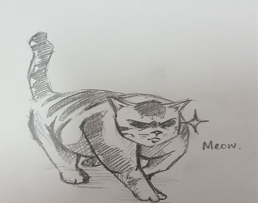 buff cat meme