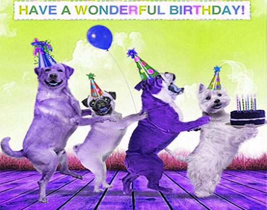 happy birthday dog memes