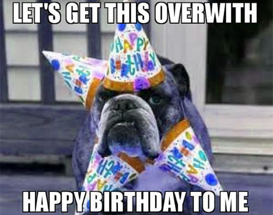 happy birthday dog memes