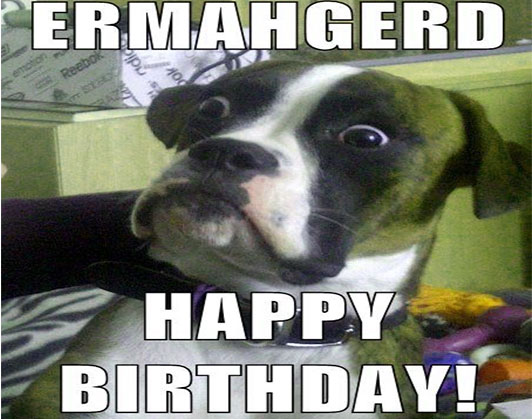 happy birthday dog memes