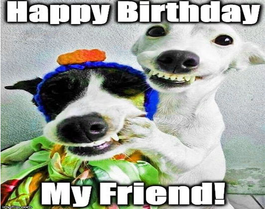 happy birthday dog memes