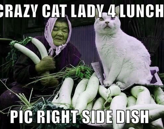 crazy cat lady meme