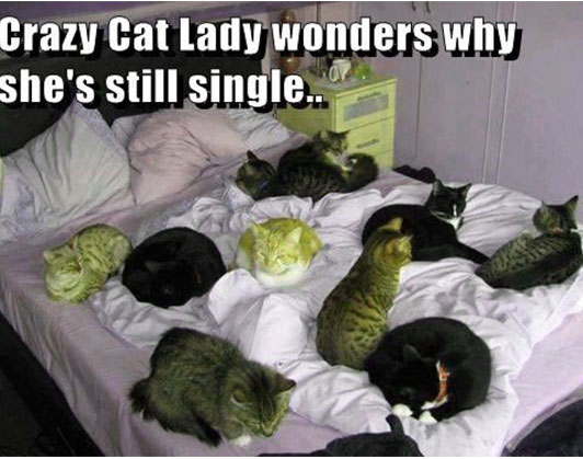 crazy cat lady meme